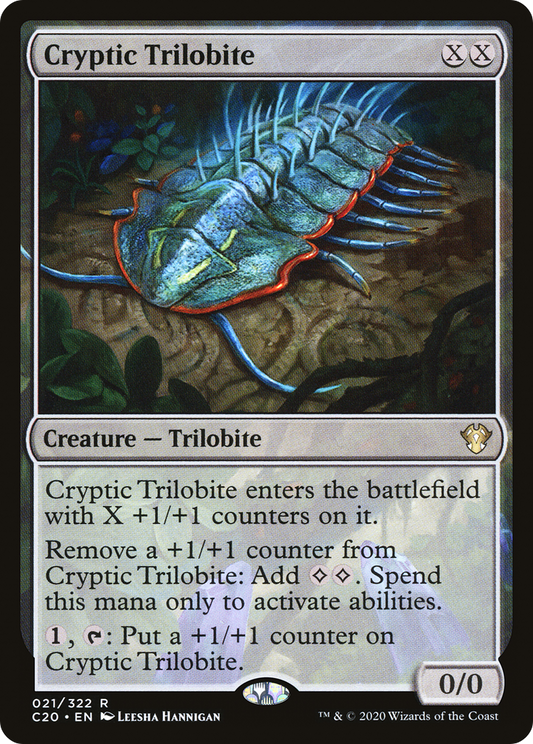 Cryptic Trilobite