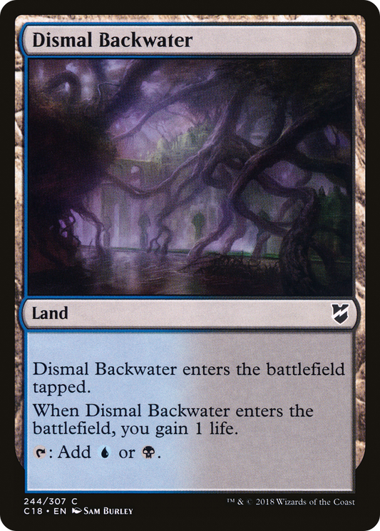 Dismal Backwater